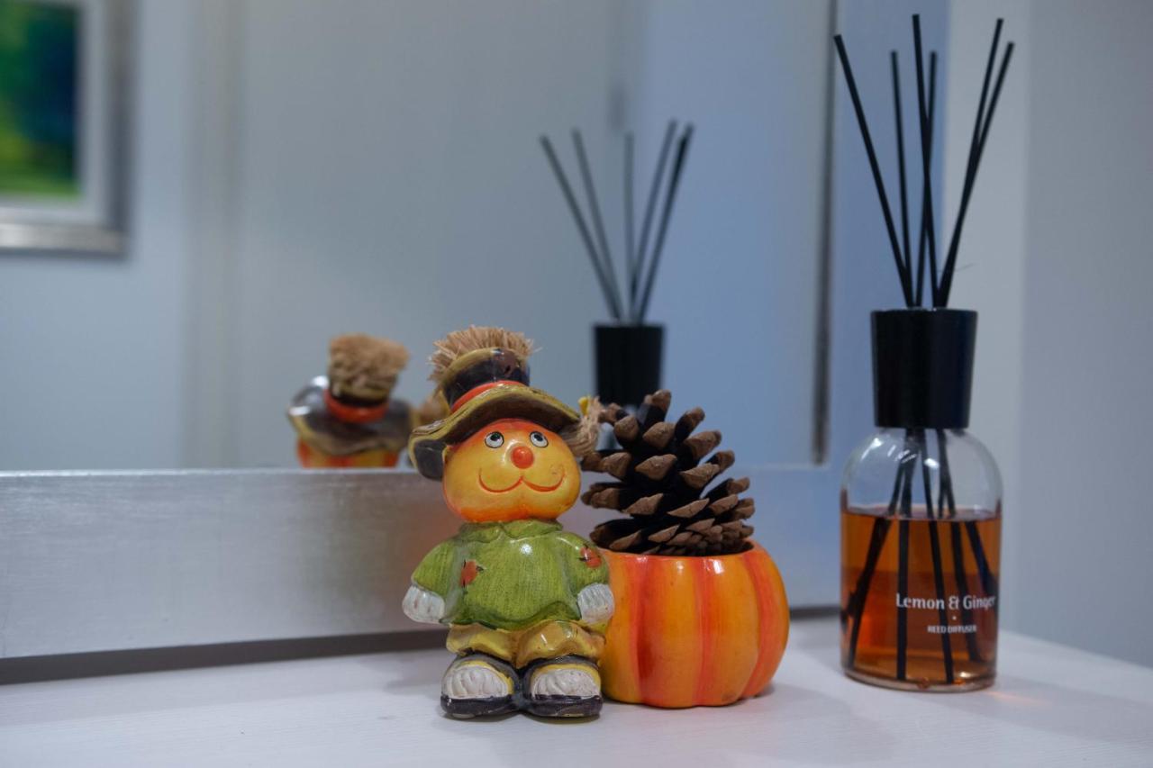 公寓 Beautiful Centre Apartment!